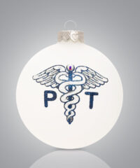 PT Physical Therapist