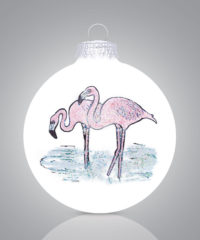 Flamingos